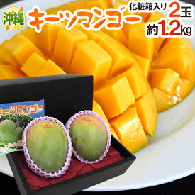 沖縄産 ”キーツマンゴー” 秀品 2玉 約1.2kg 化粧箱入り【予約 8月中旬以降】 送料無料