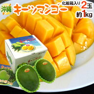 沖縄産 ”キーツマンゴー” 秀品 2玉 約1kg 化粧箱入り【予約 8月中旬以降】 送料無料