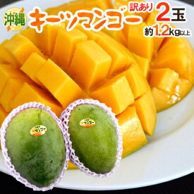 沖縄産 ”キーツマンゴー” 訳あり 2玉 約1.2〜1.5kg【予約 8月中旬以降】 送料無料