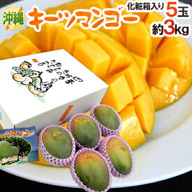沖縄産 ”キーツマンゴー” 秀品 5玉 約3kg 化粧箱入り【予約 8月中旬以降】 送料無料