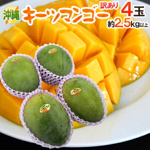 ����Y �h�L�[�c�}���S�[�h �󂠂� 4�� ��2.5�`3kg�y�\�� 8�����{�ȍ~�z ��������