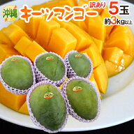 沖縄産 ”キーツマンゴー” 訳あり 5玉 約3〜4kg【予約 8月中旬以降】 送料無料