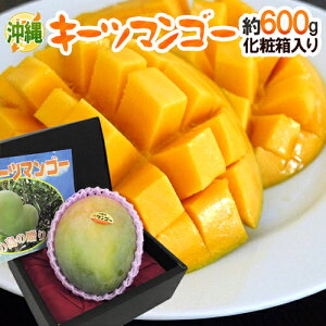 ����Y �h�L�[�c�}���S�[�h �G�i 1�� ��600g ���ϔ�����y�\�� 8�����{�ȍ~�z ��������