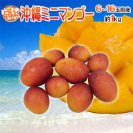 沖縄産 ”ミニミニマンゴー” 訳あり 6〜16玉前後 約1kg パック 沖縄マンゴー【予約 7月以降】 送料無料