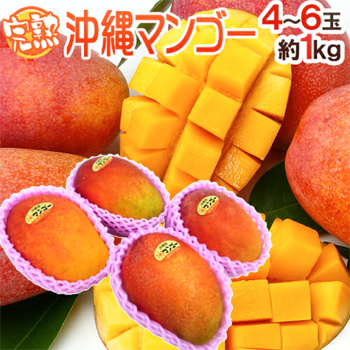 楽天市場】”沖縄産 ミニマンゴー” 訳あり 4〜6玉前後 約1kg 沖縄 