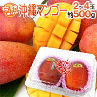 沖縄産 ”ミニマンゴー” 秀品 2〜4玉 約500g パック 沖縄マンゴー【予約 7月以降】
