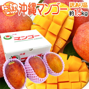 ����Y �h���n�}���S�[�h �󂠂� 3�`6�ʑO�� ��1.5kg �Y�n�� ����}���S�[�y�\�� 7�����{�ȍ~�z ��������