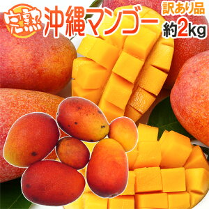�h����Y ���n�}���S�[�h �󂠂� 4�`8�ʑO�� ��2kg ����}���S�[�y�\�� 7�����{�ȍ~�z ��������
