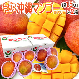 ����Y �h���n�}���S�[�h �󂠂� ��1.5kg×�s2���t 6�`12�ʑO�� �Y�n�� ����}���S�[�y�\�� 7�����{�ȍ~�z ��������