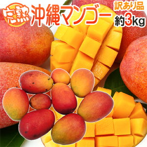 �h����Y ���n�}���S�[�h �󂠂� 6�`12�ʑO�� ��3kg ����}���S�[�y�\�� 7�����{�ȍ~�z ��������