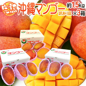 ����Y �h���n�}���S�[�h �󂠂� ��1.5kg×�s3���t 9�`18�ʑO�� �Y�n�� ����}���S�[�y�\�� 7�����{�ȍ~�z ��������