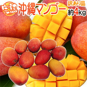 �h����Y ���n�}���S�[�h �󂠂� 8�`16�ʑO�� ��4kg ����}���S�[�y�\�� 7�����{�ȍ~�z ��������