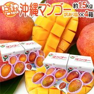 沖縄産 ”完熟マンゴー” 訳あり 約1.5kg×《4箱》 12〜20玉前後 産地箱 沖縄マンゴー【予約 7月下旬以降…