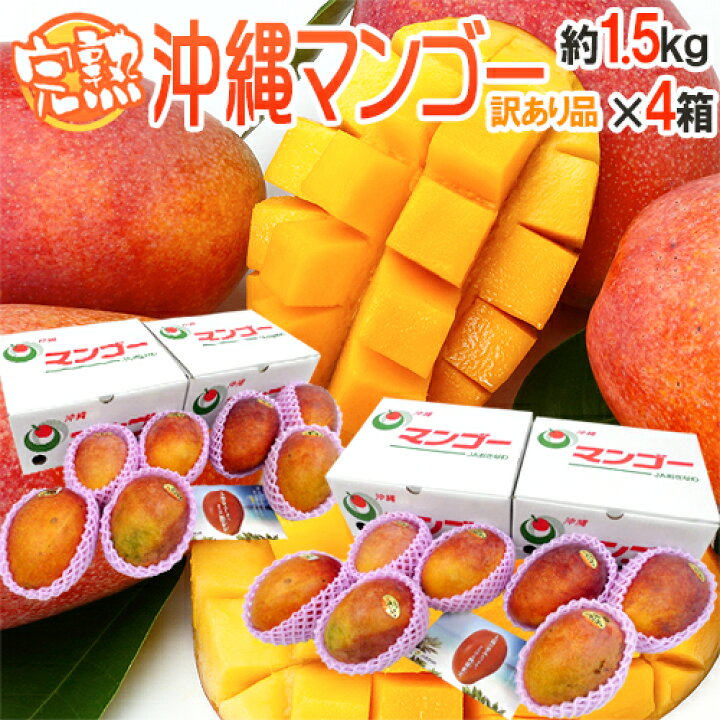 楽天市場】沖縄産 ”完熟マンゴー” 訳あり 約1.5kg×《4箱》 12〜20玉 