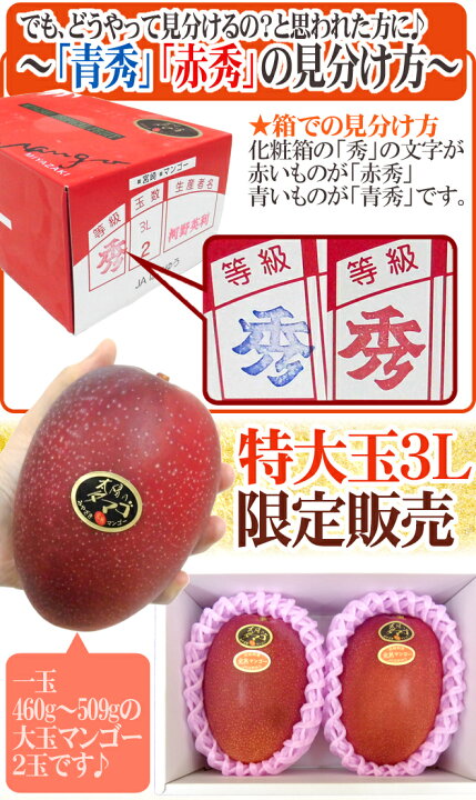 楽天市場】宮崎完熟マンゴー ”太陽のタマゴ” 特大玉3L 2玉入り 最高 