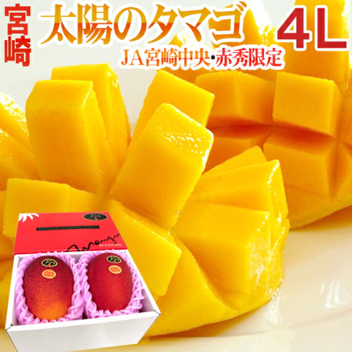 楽天市場】宮崎完熟マンゴー ”太陽のタマゴ” JA宮崎中央 超特大4L 2玉  