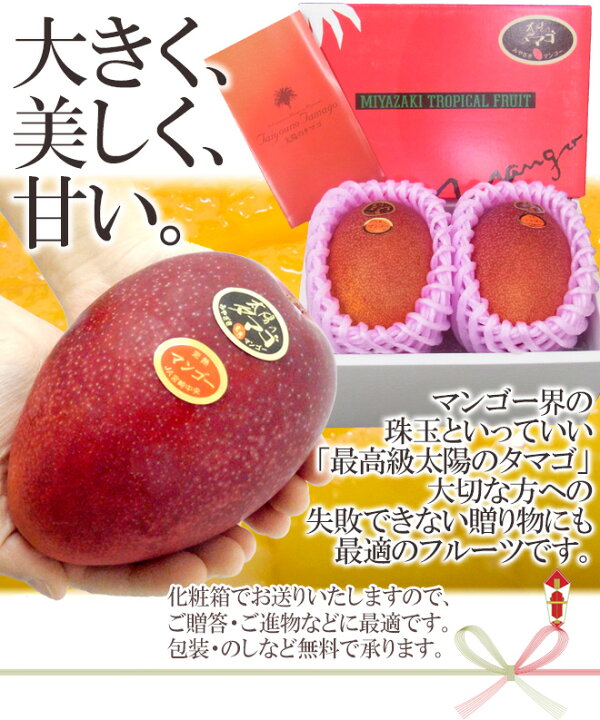 楽天市場】宮崎完熟マンゴー ”太陽のタマゴ” JA宮崎中央 超特大4L 2玉  
