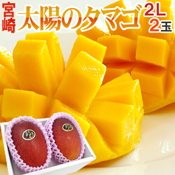 楽天市場】宮崎完熟マンゴー ”太陽のタマゴ” 大玉 2Lサイズ 2玉 宮崎 