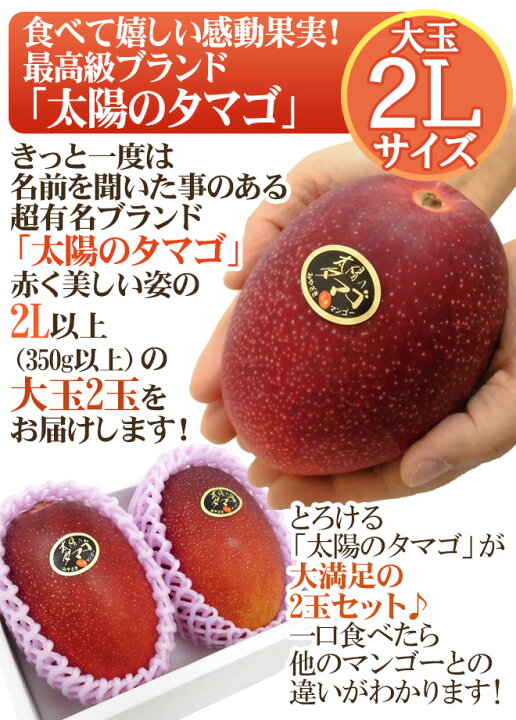 楽天市場】宮崎マンゴー ”太陽のタマゴ” 大玉 2Lサイズ 2玉 宮崎完熟 
