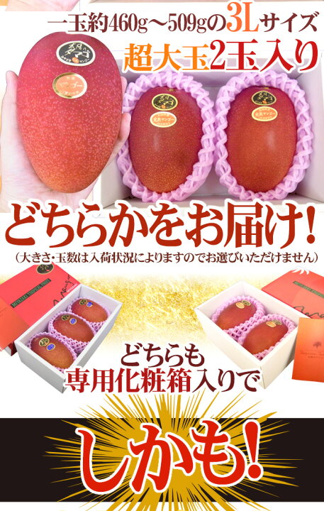 楽天市場】宮崎完熟マンゴー ”太陽のタマゴ” 2L3玉もしくは3L2玉入り 