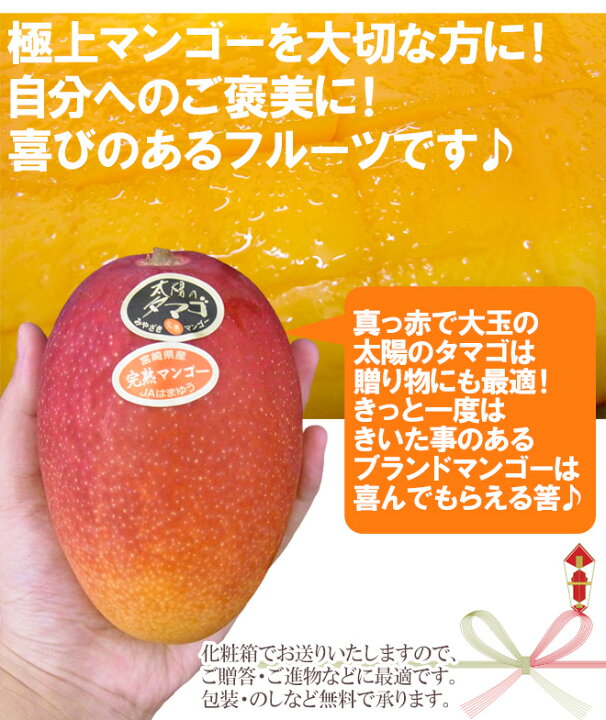 楽天市場】宮崎完熟マンゴー ”太陽のタマゴ” 2L3玉もしくは3L2玉入り 