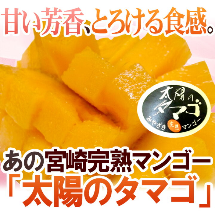 楽天市場】宮崎マンゴー ”太陽のタマゴ” 大玉 3Lサイズ 2玉 産地化粧箱 