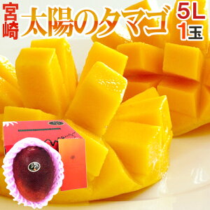 �{�芮�n�}���S�[ �h���z�̃^�}�S�h ������5L ��650g�ȏ� 1�ʓ��y�\�� 4���ȍ~�z ��������