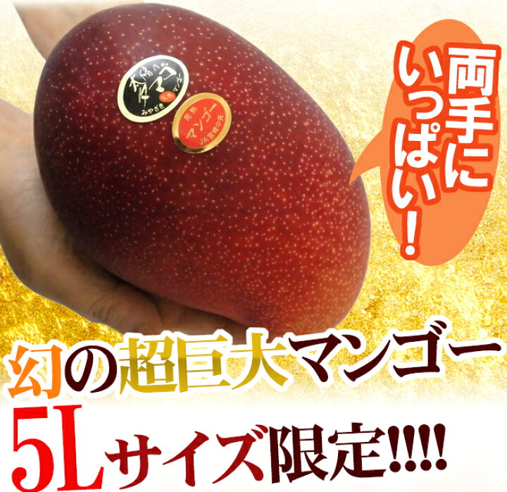 楽天市場】宮崎完熟マンゴー ”太陽のタマゴ” 超巨大5L 約650g以上 1玉 