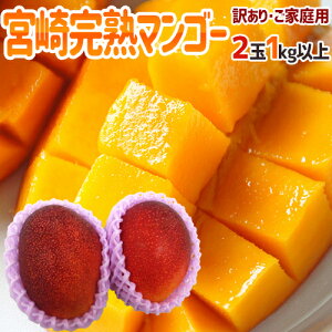 �h�{�芮�n�}���S�[�h �󂠂� �����4L 2�� ��1kg�ȏ� �{��}���S�[�y�\�� 5�����{�ȍ~�z ��������