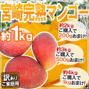 【送料無料】訳あり ”宮崎マンゴー” 2個〜4個 1kg！2kg購入で200g、3kg購入で500g、4kg購入で1kgおまけ♪【予約 5月下旬〜8月】 ランキングお取り寄せ