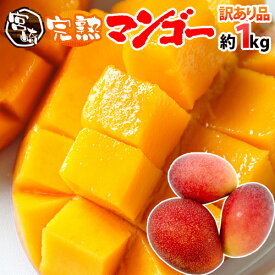 ”宮崎マンゴー” 訳あり 2〜4玉前後 約1kg《2kg購入で200g、3kg購入で500g、4kg購入で1kgおまけ》【予約 5月下旬〜6月以降】 送料無料