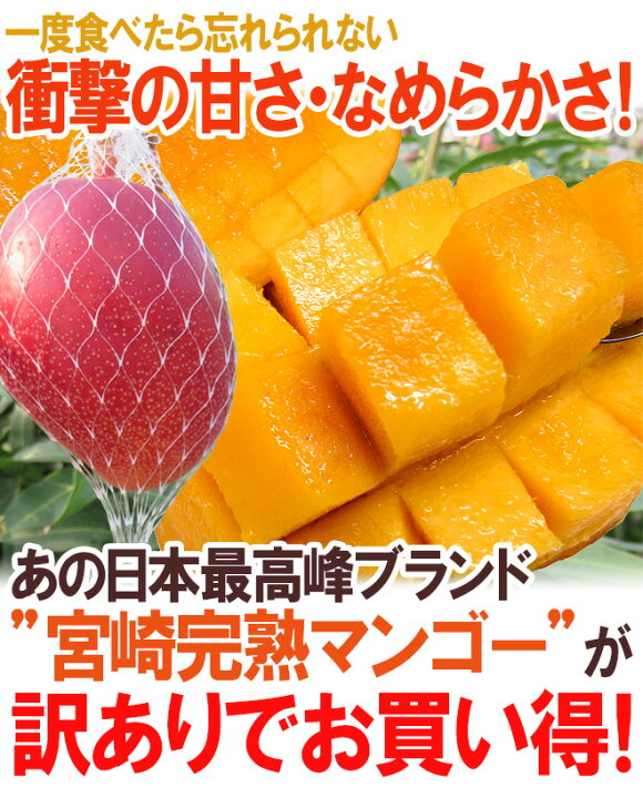 楽天市場】”宮崎マンゴー” 訳あり 10〜20玉前後 約5kg【予約 5月下旬 