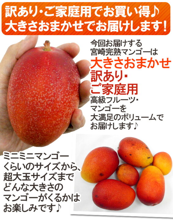 楽天市場】”宮崎マンゴー” 訳あり 10〜20玉前後 約5kg【予約 5月下旬 