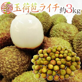 ”生グリーンライチ 玉荷苞（ぎょっかほう）” 約3kg 台湾産 レイシ 茘枝 玉荷包【予約 5月末以降】 送料無料