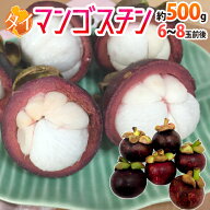 ”タイ産 マンゴスチン” M〜L 6〜8玉前後 約500g【予約 4月以降】 送料無料