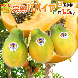 �A�����J �n���C�B �h���n�p�p�C���h 3�ʑO�� ��1.5kg �t���[�c�p�p�C�A�y�\�� ���׎��攭���z ��������