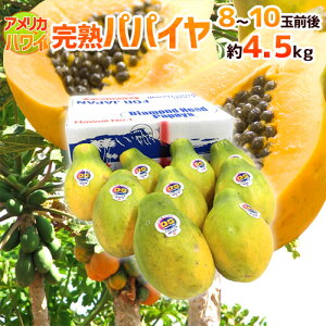 �A�����J �n���C�B �h���n�p�p�C���h 8�`10�ʑO�� ��4.5kg �t���[�c�p�p�C�A�y�\�� ���׎��攭���z ��������