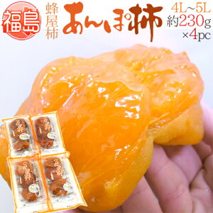 Y JAӂܖ hۊ`h 4L`5LTCY 230g×4pc I`gpy\ 12ȍ~z 