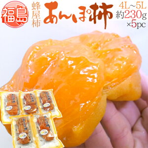 Y JAӂܖ hۊ`h 4L`5LTCY 230g×5pc I`gpy\ 12ȍ~z 