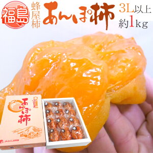 Y JAӂܖ hۊ`h 3LTCYȏ 1kg ϔ I`gpy\ 12ȍ~z 