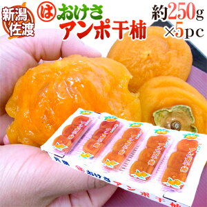 VEnHΎY hۊ`h 5pci1pc 3`5 250gjۊ`y\ 11ȍ~z 