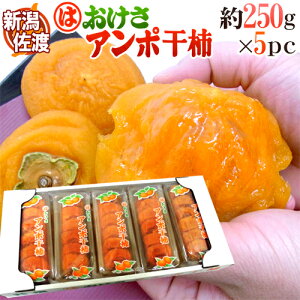 VEnHΎY hۊ`h 5pci1pc 250gj傫܂ ۊ`y\ 11ȍ~z 