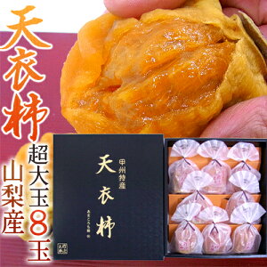 RY hVߊ`i܂j 쎟V̊`h 嗱 8ʓ ϔy\ 12ȍ~z 