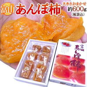 xRY hۊ`h 傫܂ ܍ 600g ϔy\ 11ȍ~z 