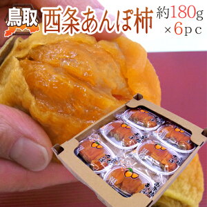 Y hۊ`h 180g×6pci1pc2`4ʁjy\ 10{ȍ~z 