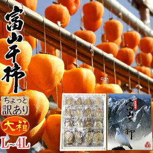 xRY hxR`h L`4LTCY 嗱 唠12`25 ϔ Ɩ󂠂y\ 12ȍ~z 