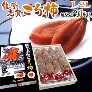 ΐ쌧 h\ouꂱ`h L/2LTCY 16`20 ܍1kg ϔ ͘I` GI}[Nty\ 12{ȍ~z 