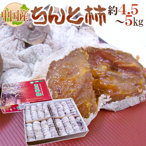 y9/25ISz|CgobN̑`XzhƊ`h L`3L 4.5`5kg Yy\ ׎攭z 