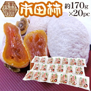 長野・南信州産 ”市田柿” 約170g×20pc(1パックに4〜8個前後)L〜3L【予約 12月以降】 送料無料