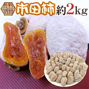 ”長野・南信州産 市田柿” L〜3L 約2kg【予約 12月中旬以降】 送料無料